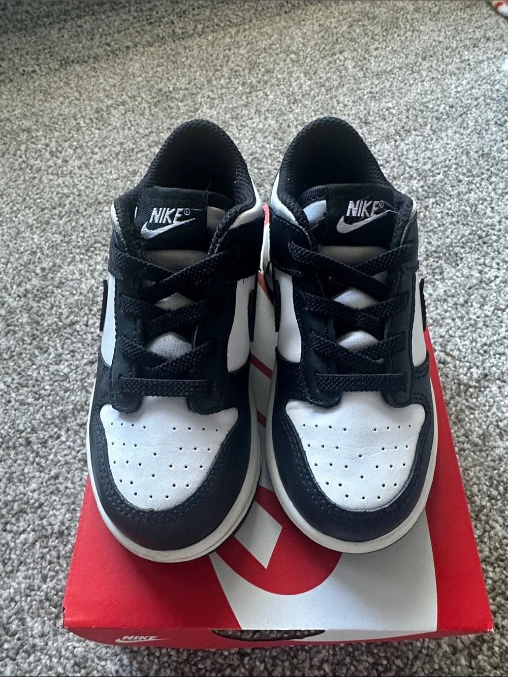 Toddler Nike Dunks